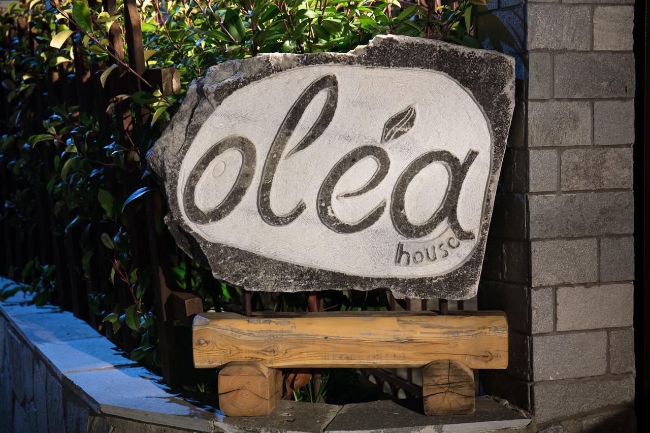 Apartamento Olea House Limenaria  Exterior foto